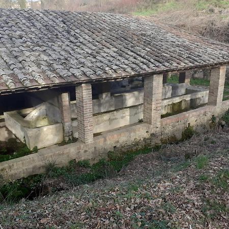Villa Casa Di Zio Monticiano Habitación foto