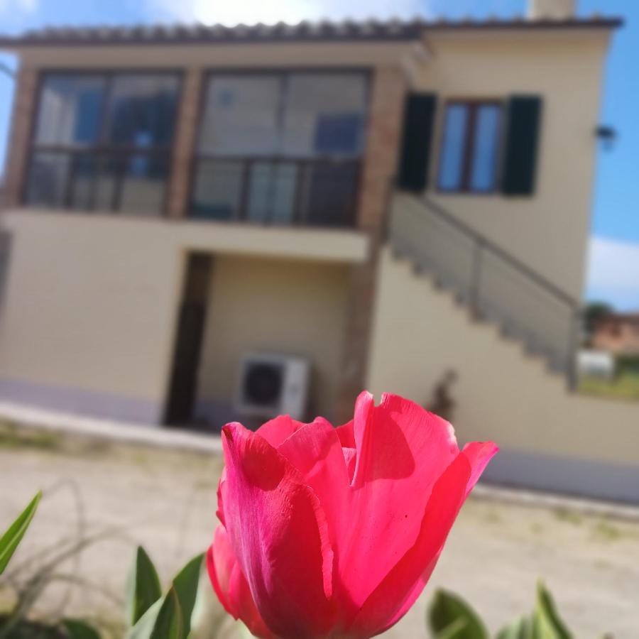 Villa Casa Di Zio Monticiano Exterior foto