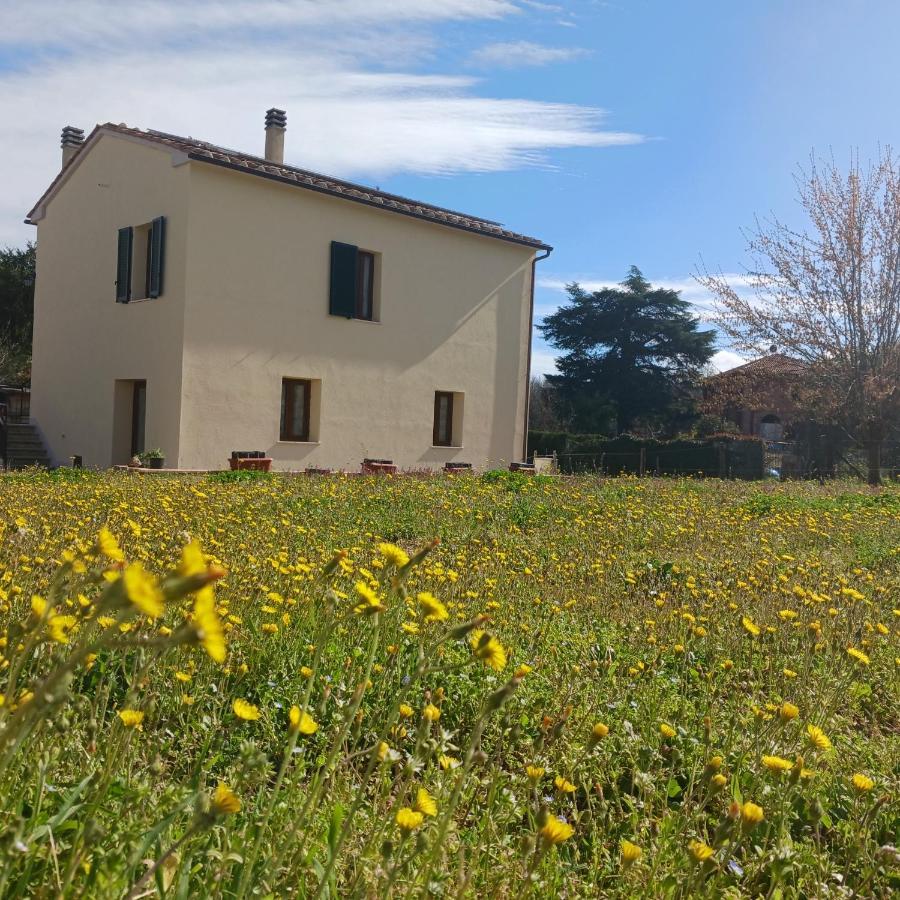 Villa Casa Di Zio Monticiano Exterior foto